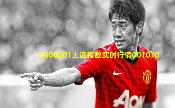 0000001上证指数实时行情001070