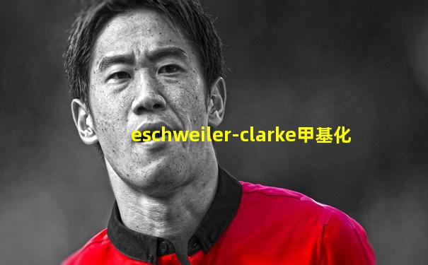 eschweiler-clarke甲基化