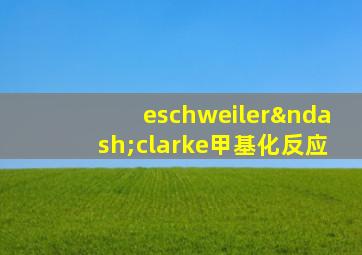 eschweiler–clarke甲基化反应