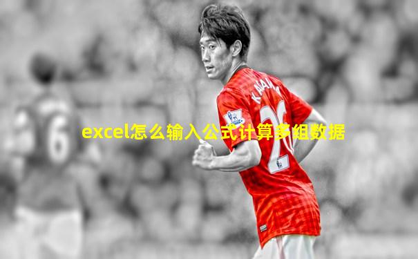 excel怎么输入公式计算多组数据