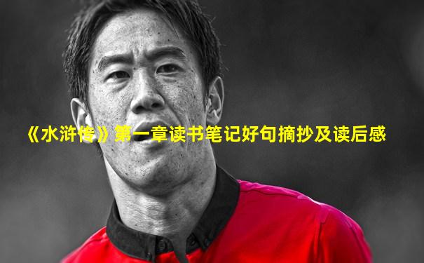 《水浒传》第一章读书笔记好句摘抄及读后感