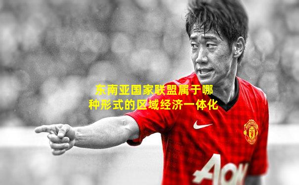东南亚国家联盟属于哪种形式的区域经济一体化