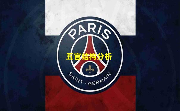 五官结构分析