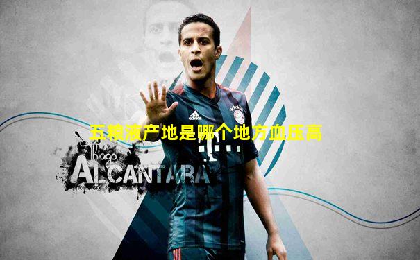五粮液产地是哪个地方血压高