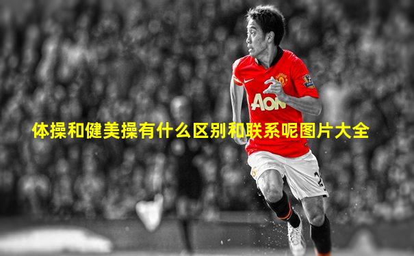 体操和健美操有什么区别和联系呢图片大全