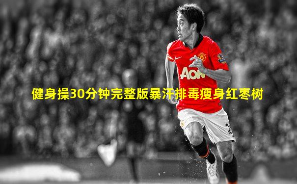 健身操30分钟完整版暴汗排毒瘦身红枣树