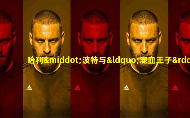 哈利·波特与“混血王子”