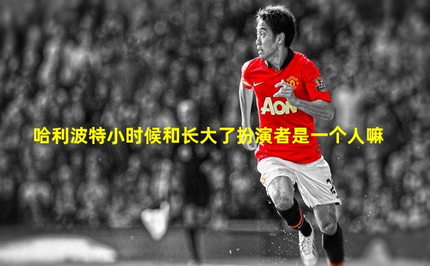 哈利波特小时候和长大了扮演者是一个人嘛
