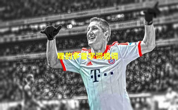 哩的多音字词组词