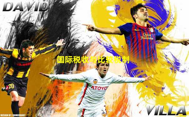 国际税收与比较税制