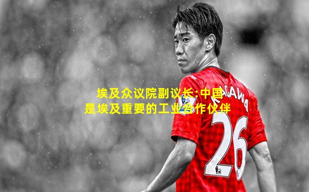 埃及众议院副议长:中国是埃及重要的工业合作伙伴