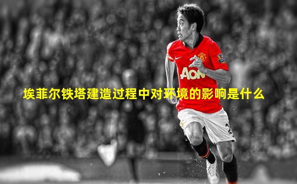 埃菲尔铁塔建造过程中对环境的影响是什么