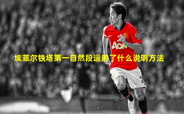 埃菲尔铁塔第一自然段运用了什么说明方法