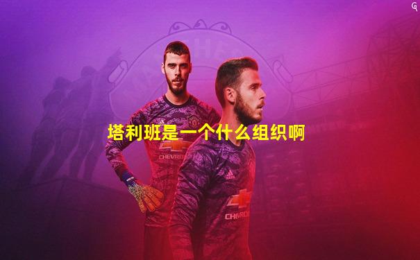 塔利班是一个什么组织啊