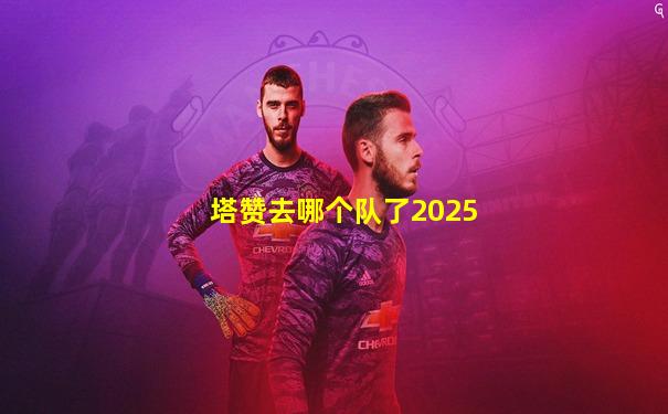 塔赞去哪个队了2025