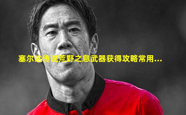 塞尔达传说荒野之息武器获得攻略常用...