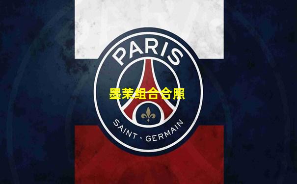 墨茉组合合照