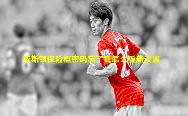 威斯顿保险柜密码忘了我怎么重新设置