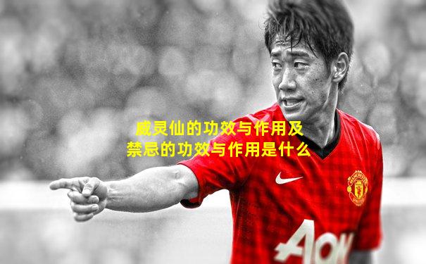 威灵仙的功效与作用及禁忌的功效与作用是什么