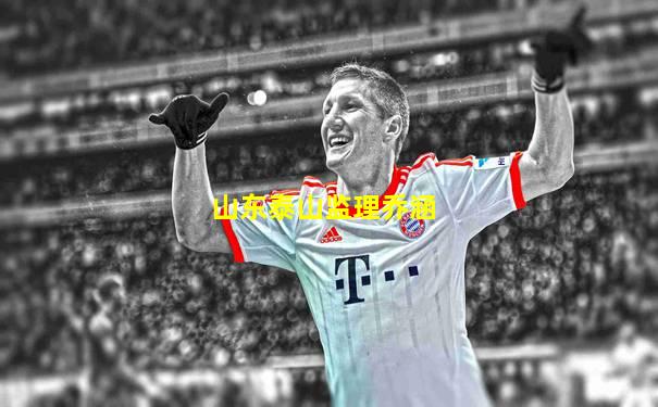 山东泰山监理乔涵