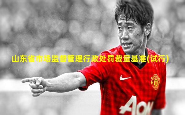 山东省市场监督管理行政处罚裁量基准(试行)