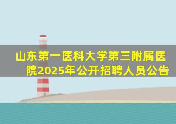 山东第一医科大学第三附属医院2025年公开招聘人员公告