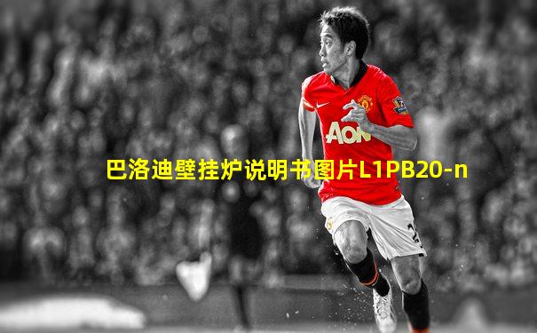 巴洛迪壁挂炉说明书图片L1PB20-n