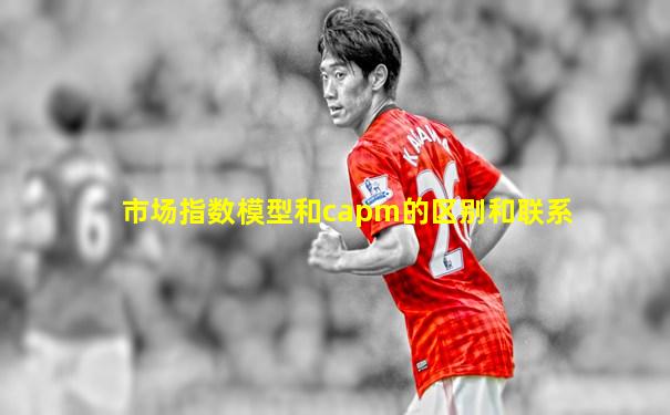 市场指数模型和capm的区别和联系