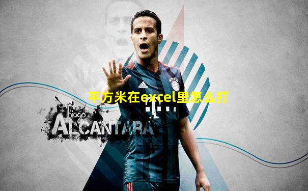 平方米在excel里怎么打