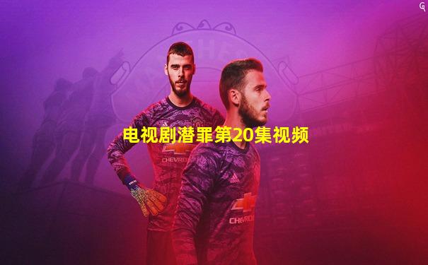电视剧潜罪第20集视频