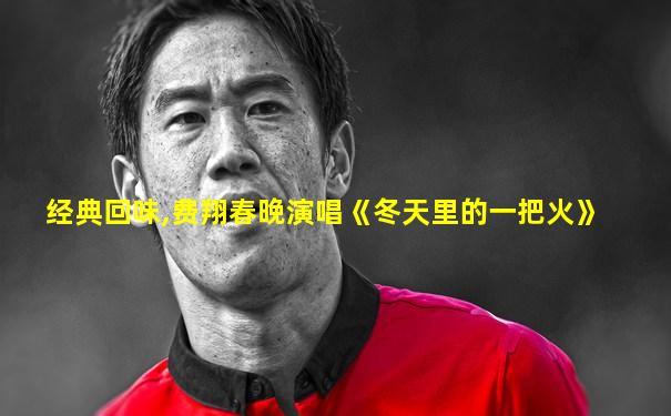 经典回味,费翔春晚演唱《冬天里的一把火》