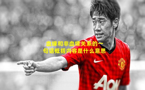 血缘和非血缘关系的一句话概括内容是什么意思