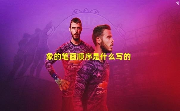 象的笔画顺序是什么写的