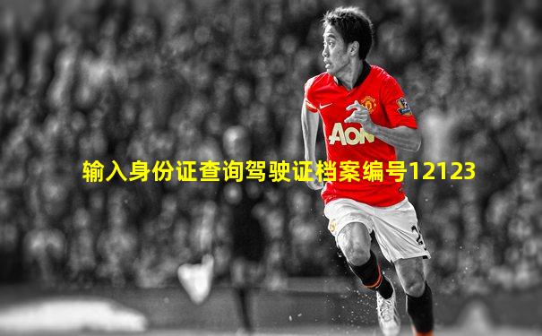 输入身份证查询驾驶证档案编号12123