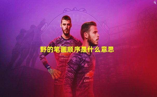野的笔画顺序是什么意思