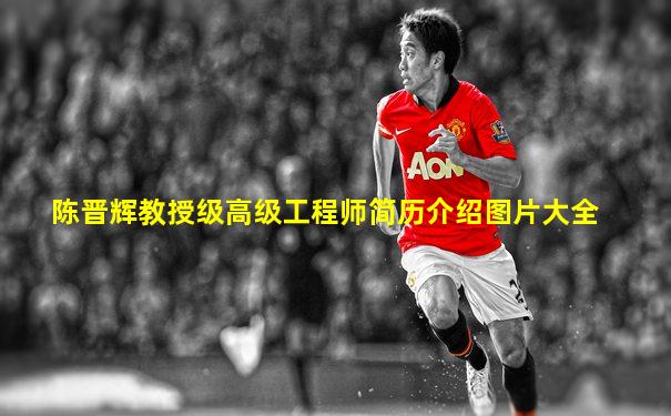 陈晋辉教授级高级工程师简历介绍图片大全
