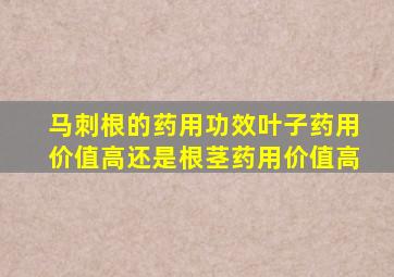 马刺根的药用功效叶子药用价值高还是根茎药用价值高